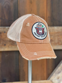 Thumbnail for Camping Smokey Bear hats at Angry Minnow Vintage